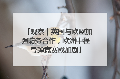 观察｜英国与欧盟加强防务合作，欧洲中程导弹竞赛或加剧