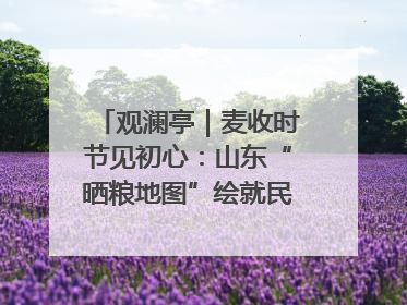 观澜亭｜麦收时节见初心：山东“晒粮地图”绘就民生温暖画卷