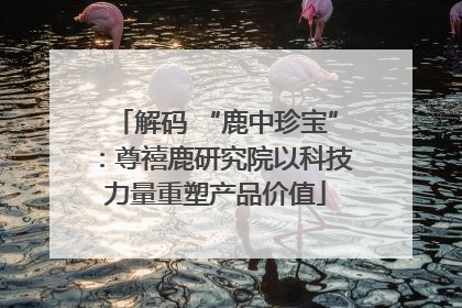 解码 “鹿中珍宝”：尊禧鹿研究院以科技力量重塑产品价值