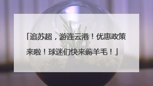 追苏超，游连云港！优惠政策来啦！球迷们快来薅羊毛！