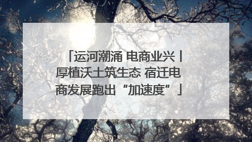 运河潮涌 电商业兴丨厚植沃土筑生态 宿迁电商发展跑出“加速度”