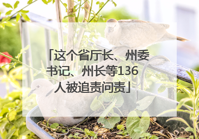 这个省厅长、州委书记、州长等136人被追责问责
