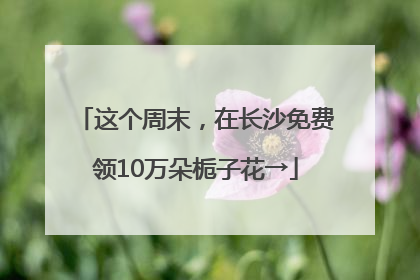 这个周末，在长沙免费领10万朵栀子花→