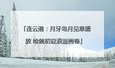 连云港：月牙岛月见草盛放 绘就初夏浪漫画卷