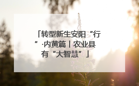 转型新生安阳“行”·内黄篇丨农业县有“大智慧”