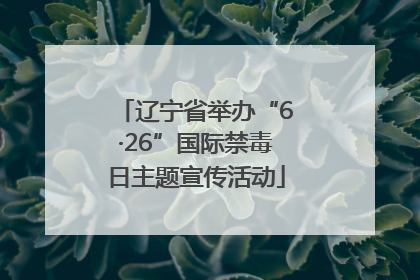 辽宁省举办“6·26”国际禁毒日主题宣传活动