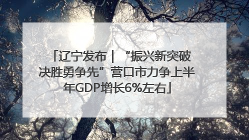 辽宁发布｜“振兴新突破 决胜勇争先”营口市力争上半年GDP增长6%左右