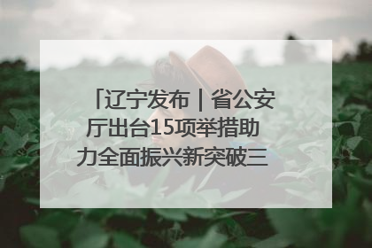 辽宁发布｜省公安厅出台15项举措助力全面振兴新突破三年行动决胜之战