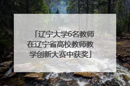 辽宁大学6名教师在辽宁省高校教师教学创新大赛中获奖