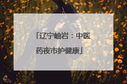 辽宁岫岩：中医药夜市护健康