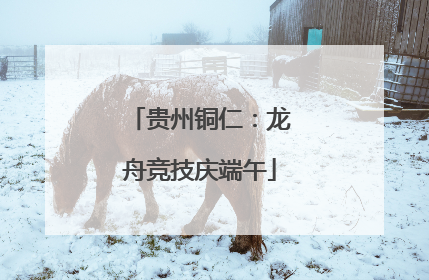 贵州铜仁：龙舟竞技庆端午