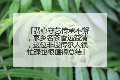 费心守艺传承不懈，家乡名茶香远益清，这位非遗传承人很忙碌也很值得总结