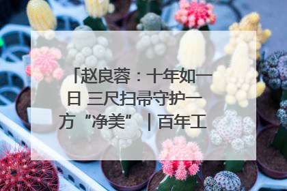 赵良蓉：十年如一日 三尺扫帚守护一方“净美”｜百年工运·劳模说