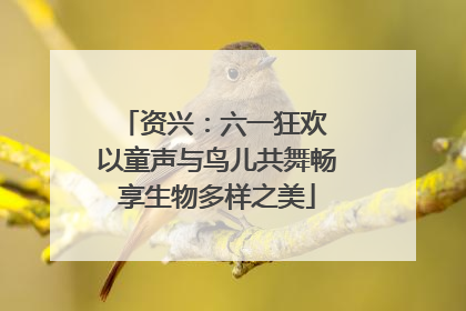 资兴：六一狂欢 以童声与鸟儿共舞畅享生物多样之美