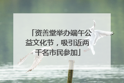 资善堂举办端午公益文化节,吸引近两千名市民参加