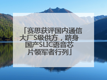 赛思获评国内通信大厂S级供方，跻身国产SLIC语音芯片领军者行列