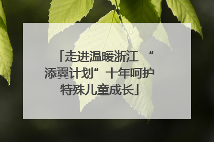 走进温暖浙江 “添翼计划”十年呵护特殊儿童成长