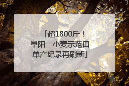 超1800斤！阜阳一小麦示范田单产纪录再刷新