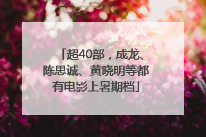 超40部，成龙、陈思诚、黄晓明等都有电影上暑期档