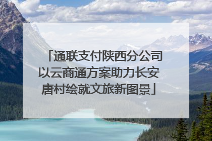 通联支付陕西分公司以云商通方案助力长安唐村绘就文旅新图景