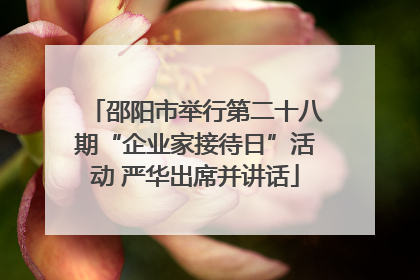 邵阳市举行第二十八期“企业家接待日”活动 严华出席并讲话