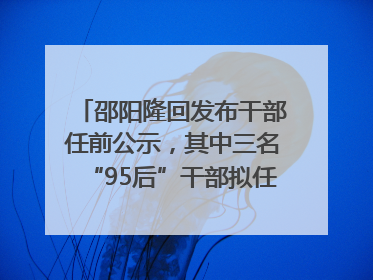 邵阳隆回发布干部任前公示，其中三名“95后”干部拟任副科级领导，均系硕士选调生