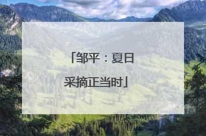 邹平：夏日采摘正当时