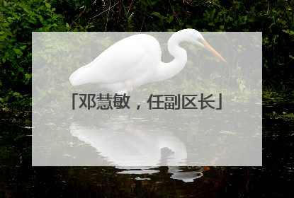 邓慧敏，任副区长