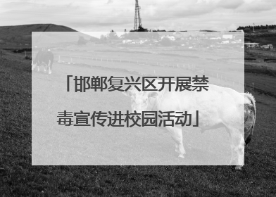 邯郸复兴区开展禁毒宣传进校园活动