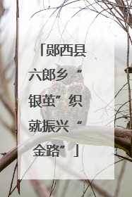 郧西县六郎乡“银茧”织就振兴“金路”