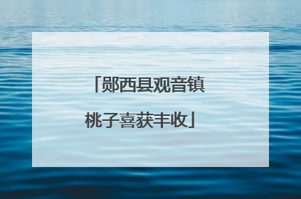 郧西县观音镇桃子喜获丰收