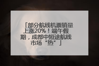 部分航线机票销量上涨20%！端午假期，成都中短途航线市场“热”