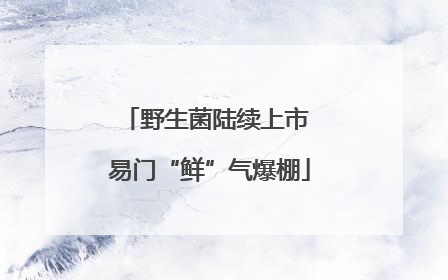 野生菌陆续上市 易门“鲜”气爆棚