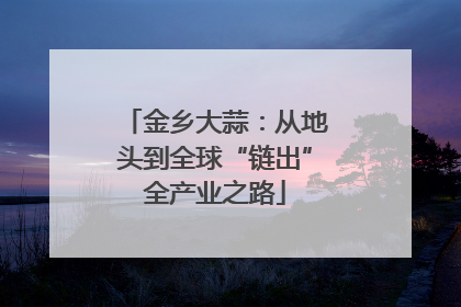 金乡大蒜：从地头到全球“链出”全产业之路