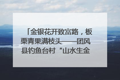 金银花开致富路，板栗青果满枝头——团风县钓鱼台村“山水生金”谱写共富新篇章