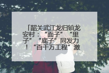 韶关武江龙归镇龙安村：“面子”“里子”“底子”同发力！“百千万工程”激活乡村新动能
