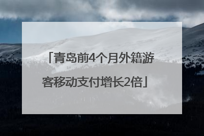 青岛前4个月外籍游客移动支付增长2倍