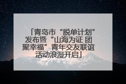 青岛市“脱单计划”发布暨“山海为证 团聚幸福”青年交友联谊活动浪漫开启