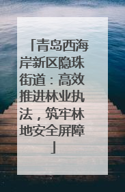 青岛西海岸新区隐珠街道：高效推进林业执法，筑牢林地安全屏障