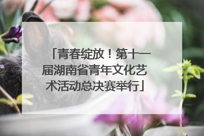 青春绽放！第十一届湖南省青年文化艺术活动总决赛举行
