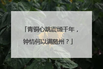 青铜心跳震颤千年，钟情何以满随州？