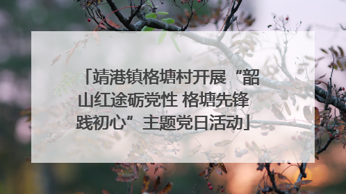 靖港镇格塘村开展“韶山红途砺党性 格塘先锋践初心”主题党日活动