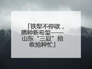 铁犁不停歇，播种新希望——山东“三夏”抢收抢种忙