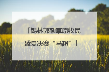 锡林郭勒草原牧民盛夏决赛“马超”