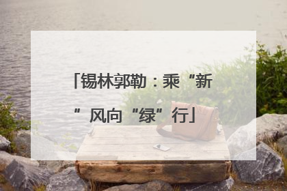 锡林郭勒：乘“新”风向“绿”行