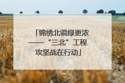 锦绣北疆绿更浓——“三北”工程攻坚战在行动