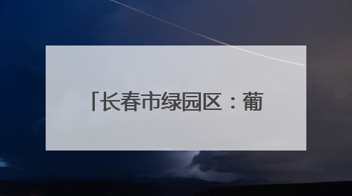 长春市绿园区：葡萄园里绿意浓 “紫色经济”焕新枝