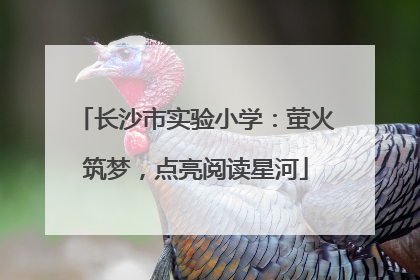 长沙市实验小学：萤火筑梦，点亮阅读星河