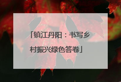 镇江丹阳：书写乡村振兴绿色答卷