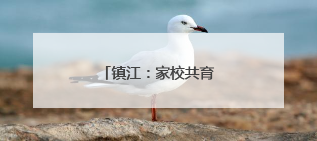 镇江：家校共育 安全“童”行